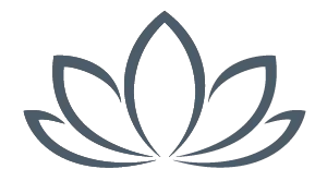 CareCredit logo
